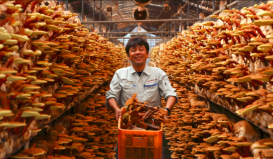 圖片關(guān)鍵詞 圖片關(guān)鍵詞