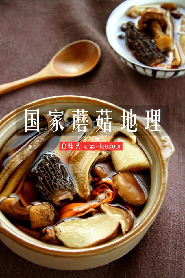 國家蘑菇地理：中國哪里的蘑菇最好吃？