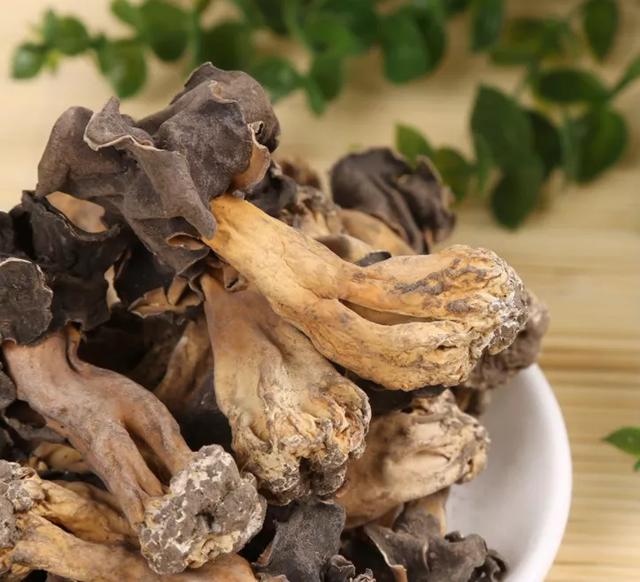 國家蘑菇地理：中國哪里的蘑菇最好吃？