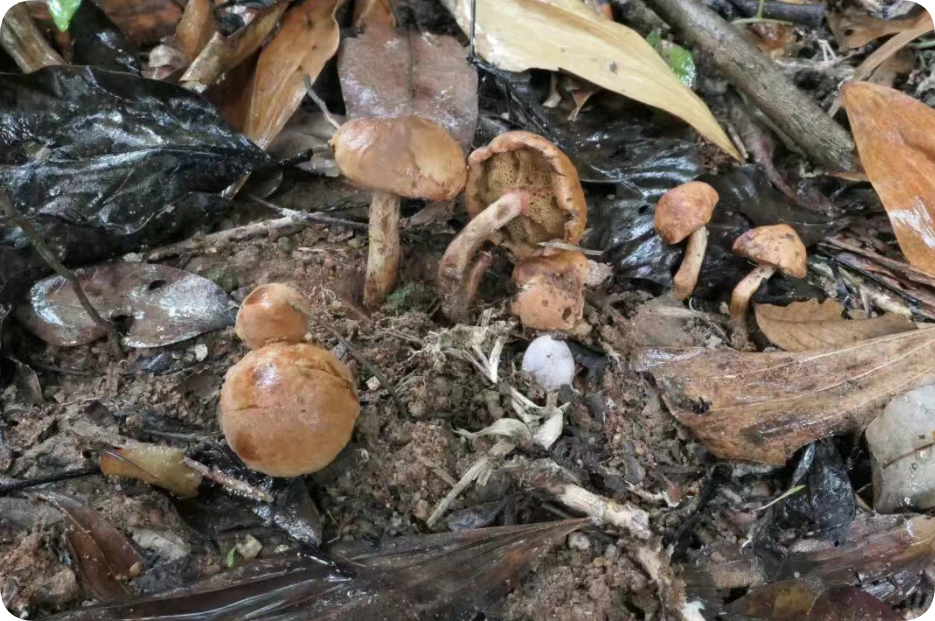 圖片關鍵詞 圖片關鍵詞