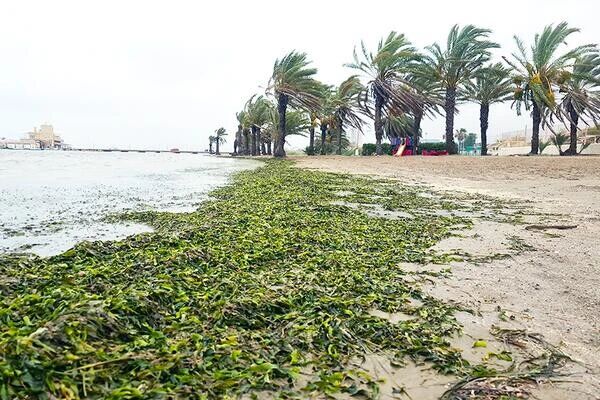 圖片關鍵詞 圖片關鍵詞